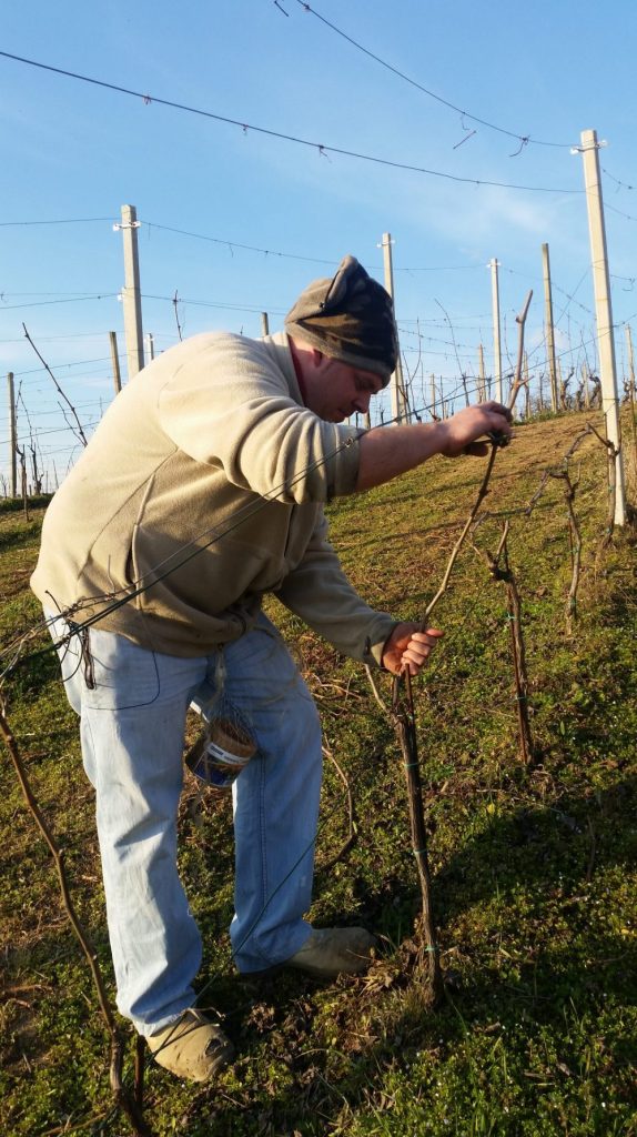 Tour dei vini: Come prepararlo