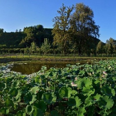 Roero, a rugged land to fall in love with Roero, a rugged land to fall in love with