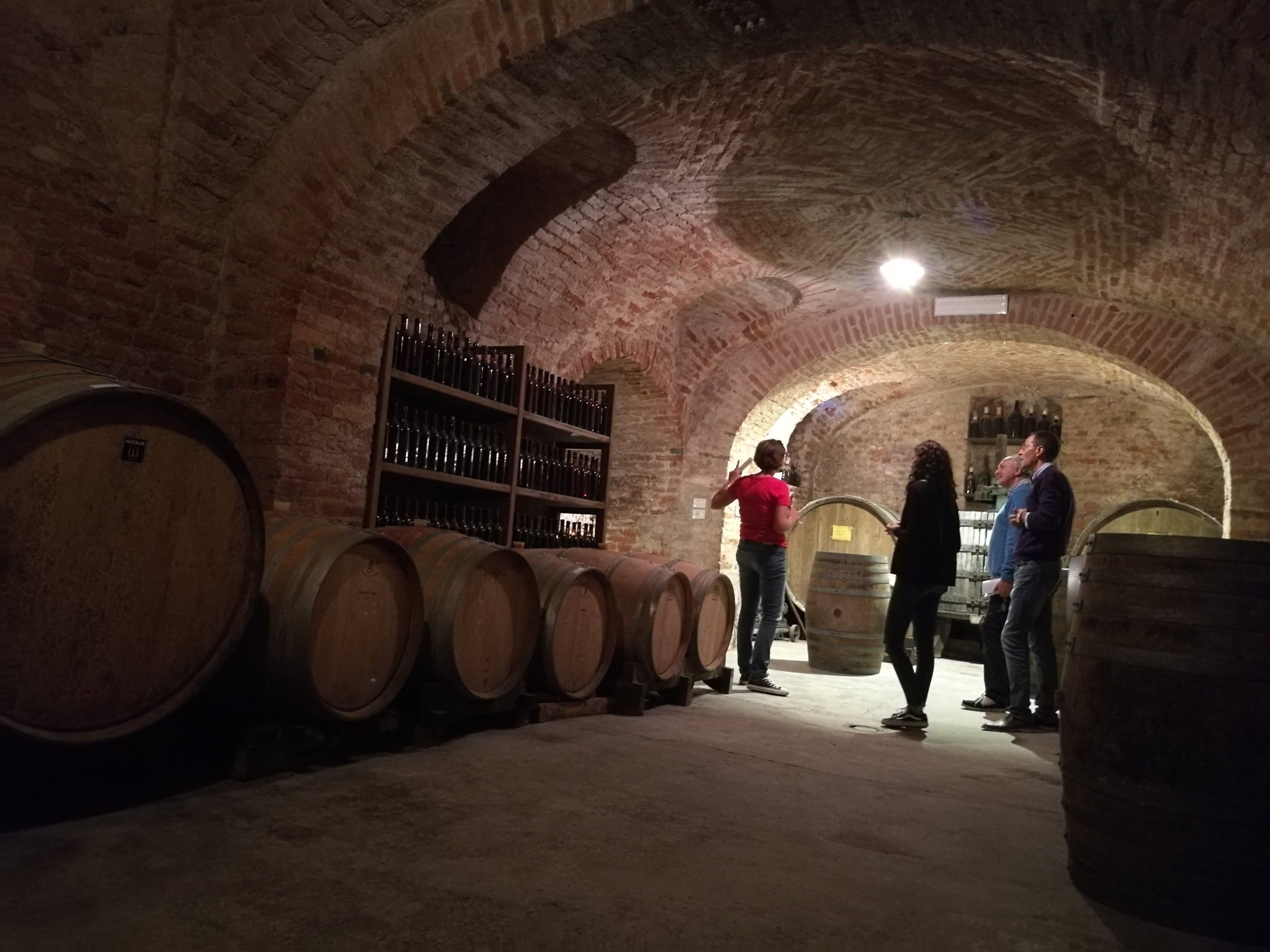 winery tours for wine enthusiasts in the Langhe