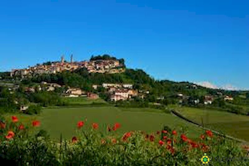 Vacanze alternative? Sì nel Monferrato!