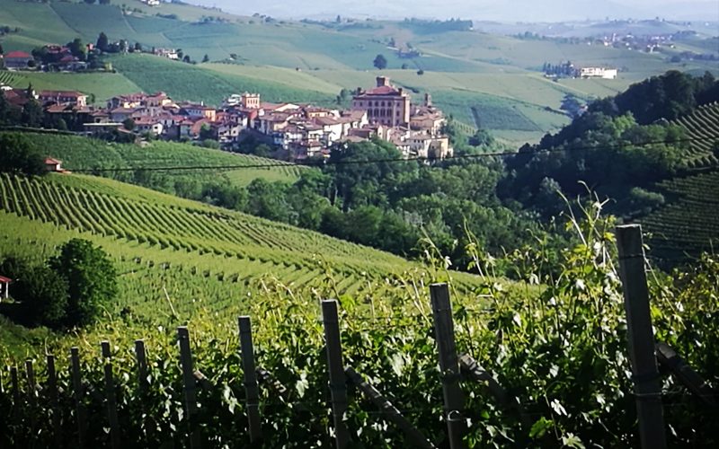 Barolo Veduta di Barolo e del castello