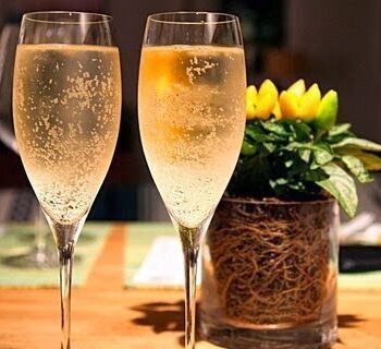 Wine and winery tour with sommelier with SlowDays
