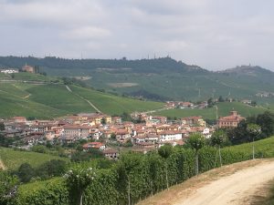 La vista dalla cantina Gomba Boschetti