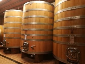 cantina barolo gomba boschetti