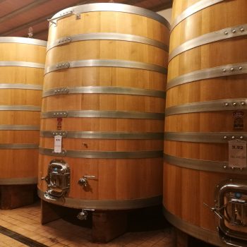 Barolo winery
