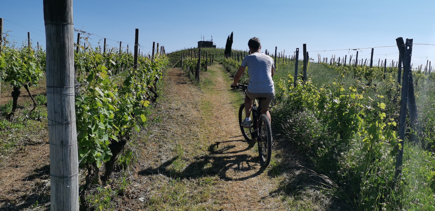 meglio langhe o monferrato in bicicletta