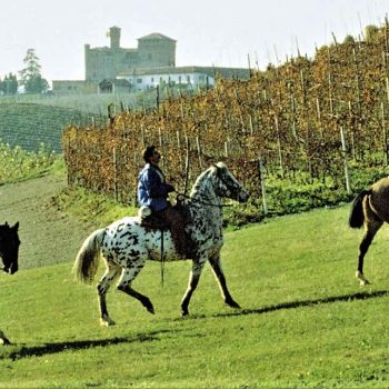 Horses