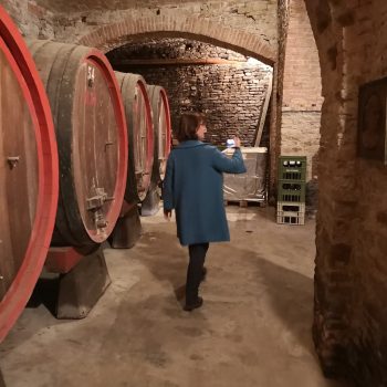 Cellars
