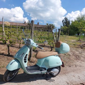 Vespa con vigne sullo sfondo per un tour Slowdays