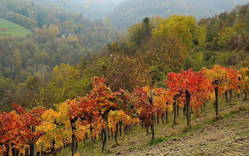 autunno nelle langhe