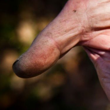Truffle Truffle