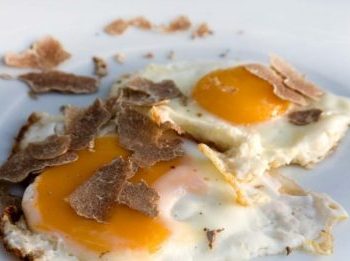 langhe gastronomic tours