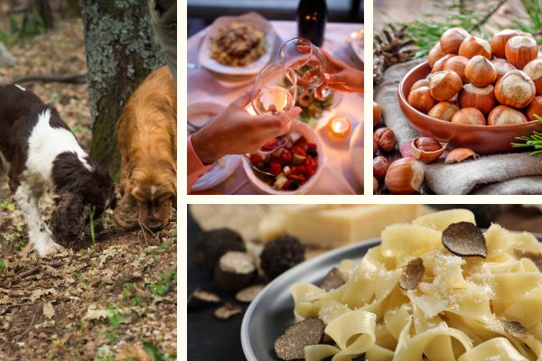 collage of images for the various formulas of a food and wine weekend in the Langhe - tastings, truffles, hazelnuts