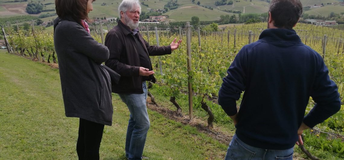 Wine tour in the Langhe