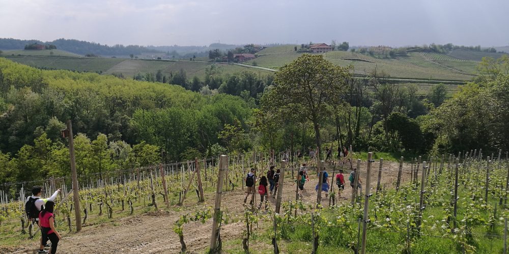 Langhe Bar to Bar trekking Bar to Bar in Piedmont Langhe