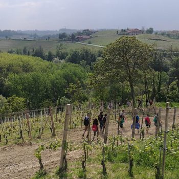 trekking nelle langhe bar to ba