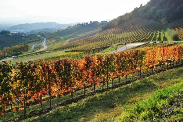 IMG_20191027_160549 passeggiata langhe con degustazione
