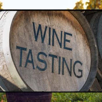 Wine tastings - Piedmont - Langhe
