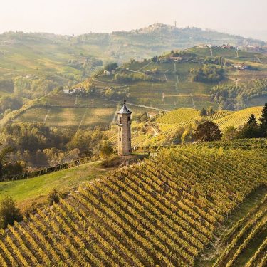 Vineyards of Moscato Degustazioni vini Langhe