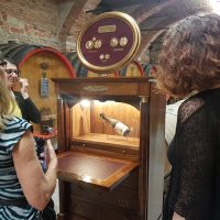 Discovering Wine and Cellars