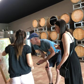 Langhe wine guided tour gift box