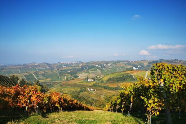 VIAGGI NELLE LANGHE VIAGGI NELLE LANGHE