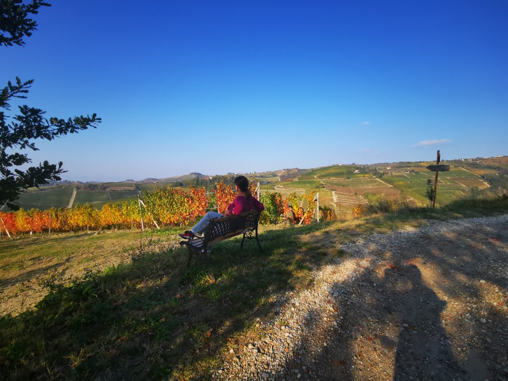 meglio langhe o monferrato in bicicletta