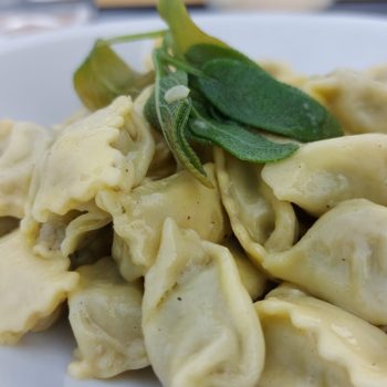 wine and food tour in Alba