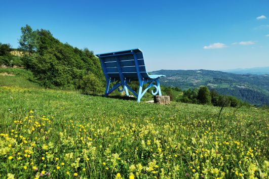 Piedmont giant benches