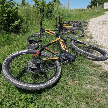 Monferrato ebike tour monferrato ebike
