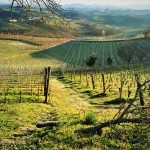 Resort nelle Langhe per 4 diversi weekend Image
