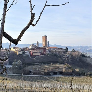 Sentiero_barbaresco_Torre La torre di Barbaresco vista dal sentiero