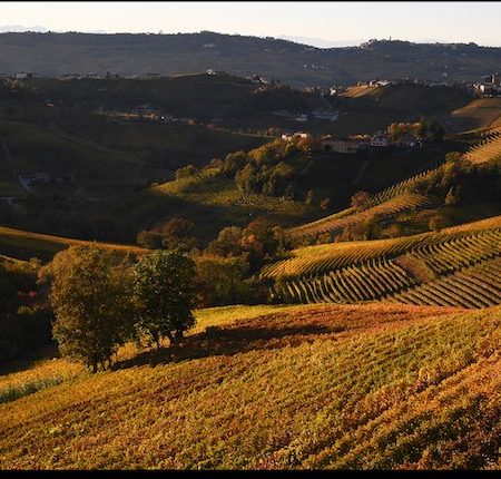 Cosa vedere nelle Langhe Cosa vedere nelle Langhe