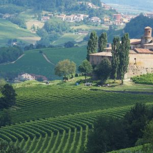 Around Barolo Walking through the Langhe Trails and castles