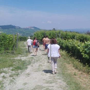 A piedi nelle vigne