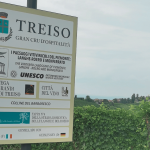 Trekking Langhe anello nella zona di Treiso Image