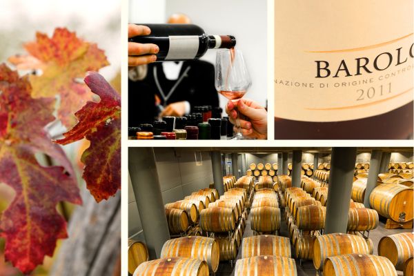 Images of vineyards, cellars and glasses reminiscent of Barolo wine