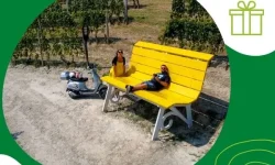 Panchine-giganti-del-Piemonte-in-Vespa-1 Panchine-giganti-del-Piemonte-in-Vespa-1