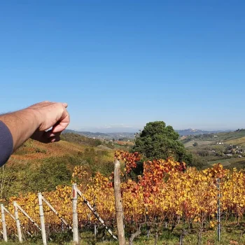 wine-trekking-alba-scaled