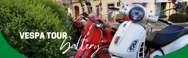 copertina gallery vespa copertina gallery vespa