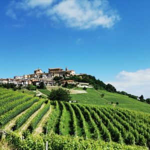 seg_vivi la morra langhe