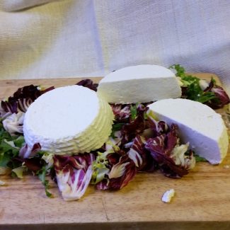 degustazione_formaggi_freschi_roero