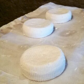alcune forme di formaggio piemontese
