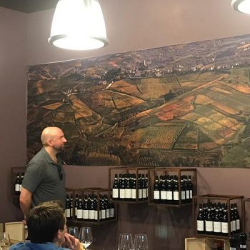 A lesson on wine in a cellar in the Langhe region