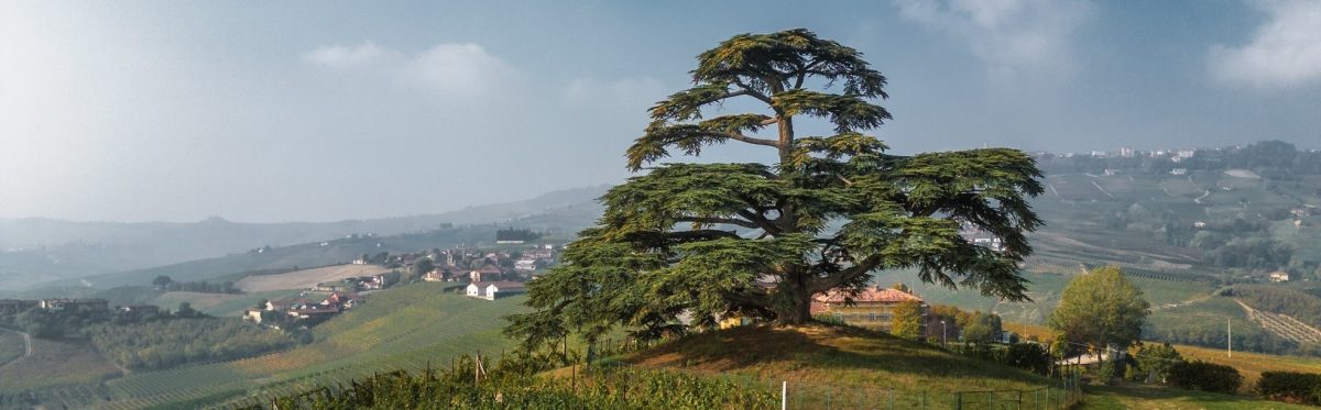 esperienze-da-regalare