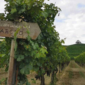 honeymoon all'insegna dei trekking