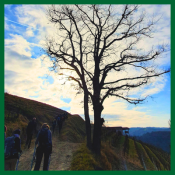 Langhe-Roero_panorami-weekend