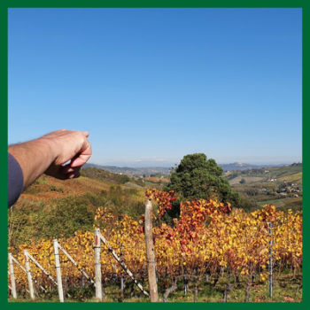 Langhe-Roero_weekend-trekking