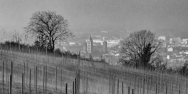 alba_inverno_langhe