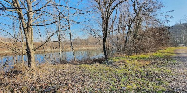 alba_parco_tanaro_passeggiata